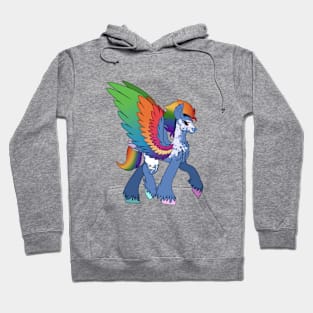 Captain Rainbow Dash Hoodie